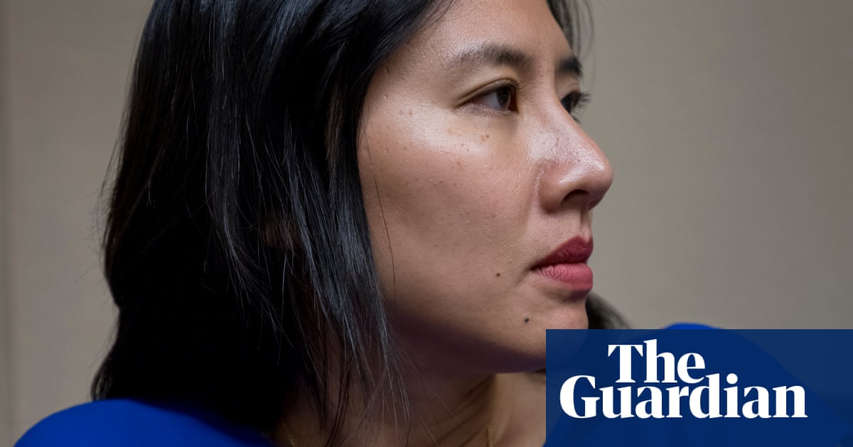 Celeste Ng It S A Novel About Race And Class And Privilege Fiction The Guardian