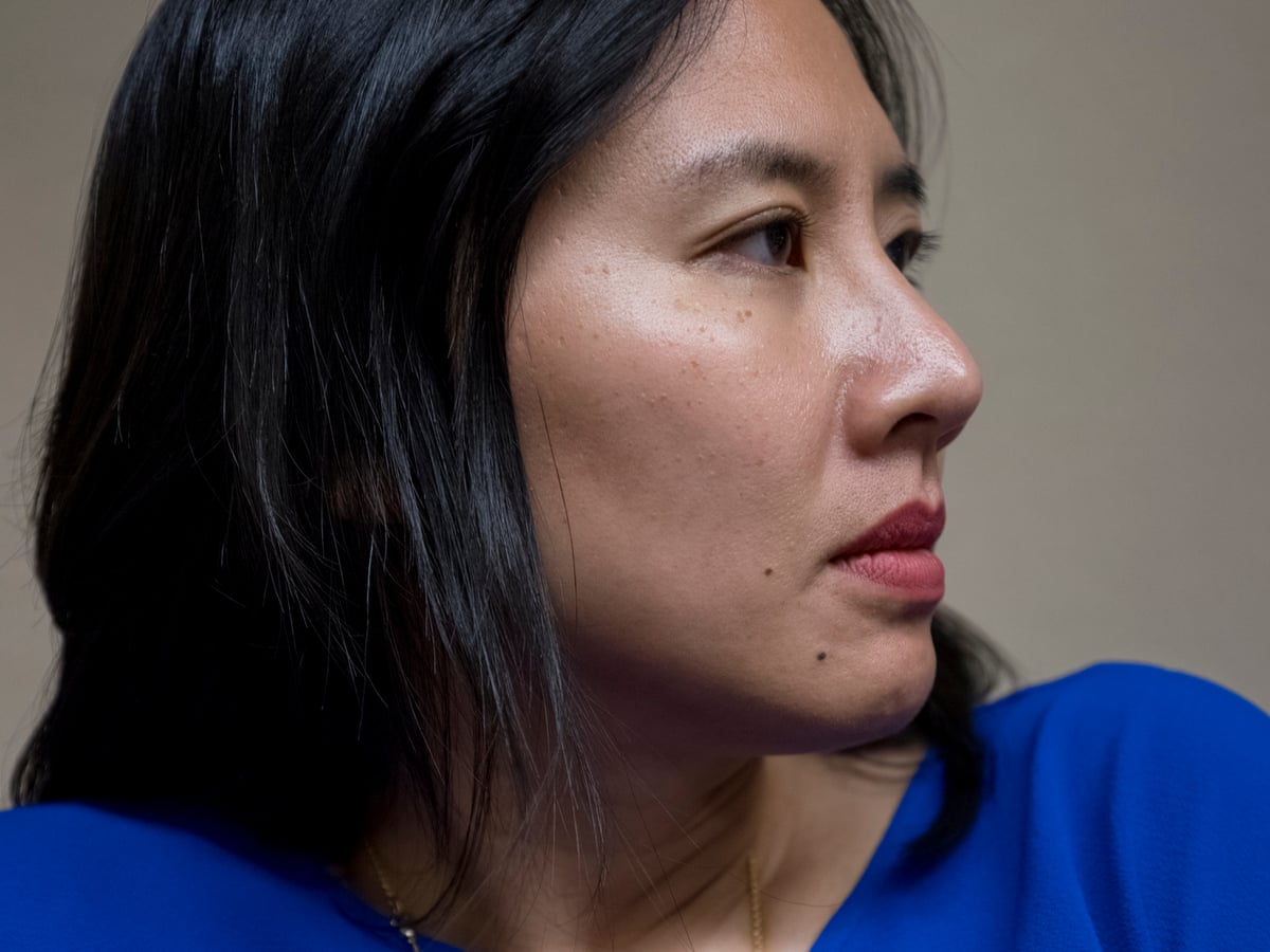 Celeste Ng It S A Novel About Race And Class And Privilege Fiction The Guardian