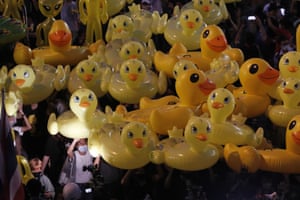 Ducks are carried over by crowd of protesters calling for the government to step down and reforms to the constitution and the monarchy