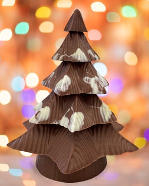Montezuma’s Christmas tree for 2020.
