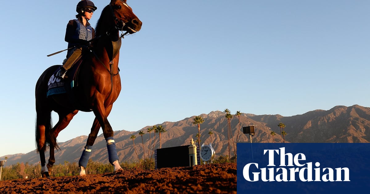 Investigation concludes animal cruelty not behind California racehorse deaths