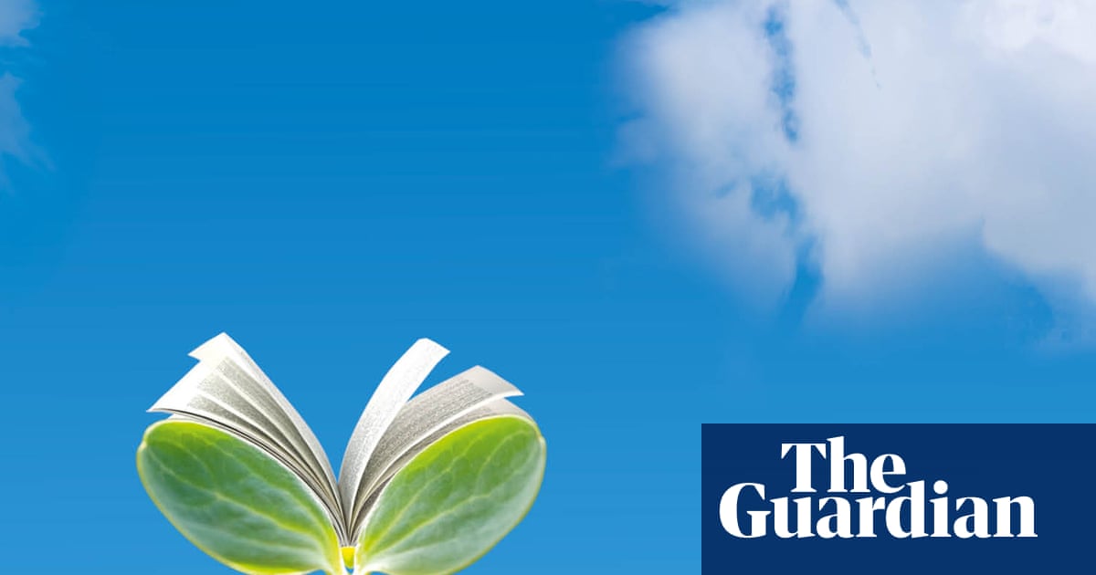 Blue sky thinking: why we need positive climate novels