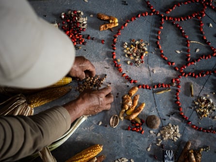 Mãos seguram sementes sobre um tapete com uma faixa dizendo Red de Guardianes de Semillas de Vida (Rede de Guardiões de Sementes da Vida).