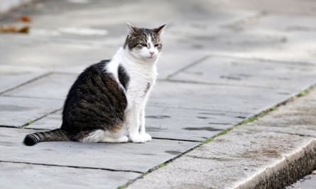 Larry, on his home territory of Downing Street.