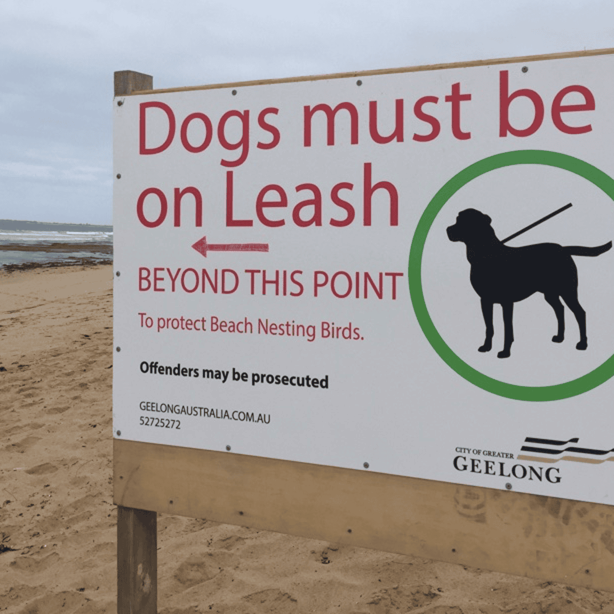 Dog nesting deals