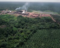 Aerial view of a factory with smoking chimneys amid Amazon rainforest and palm plantation