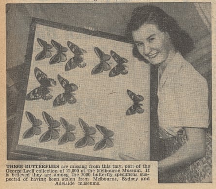 A woman holds a tray of butterflies with a big space at the centre