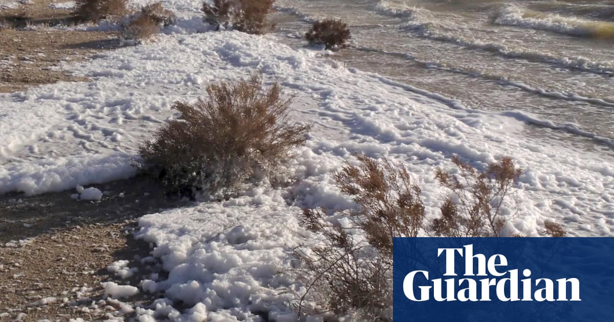 We thought we'd got the numbers wrong': how a pristine lake came to have the highest levels of forever chemicals' on record
