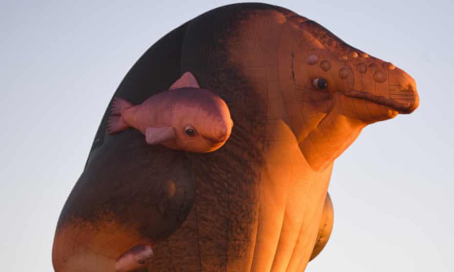 Skywhalepapa