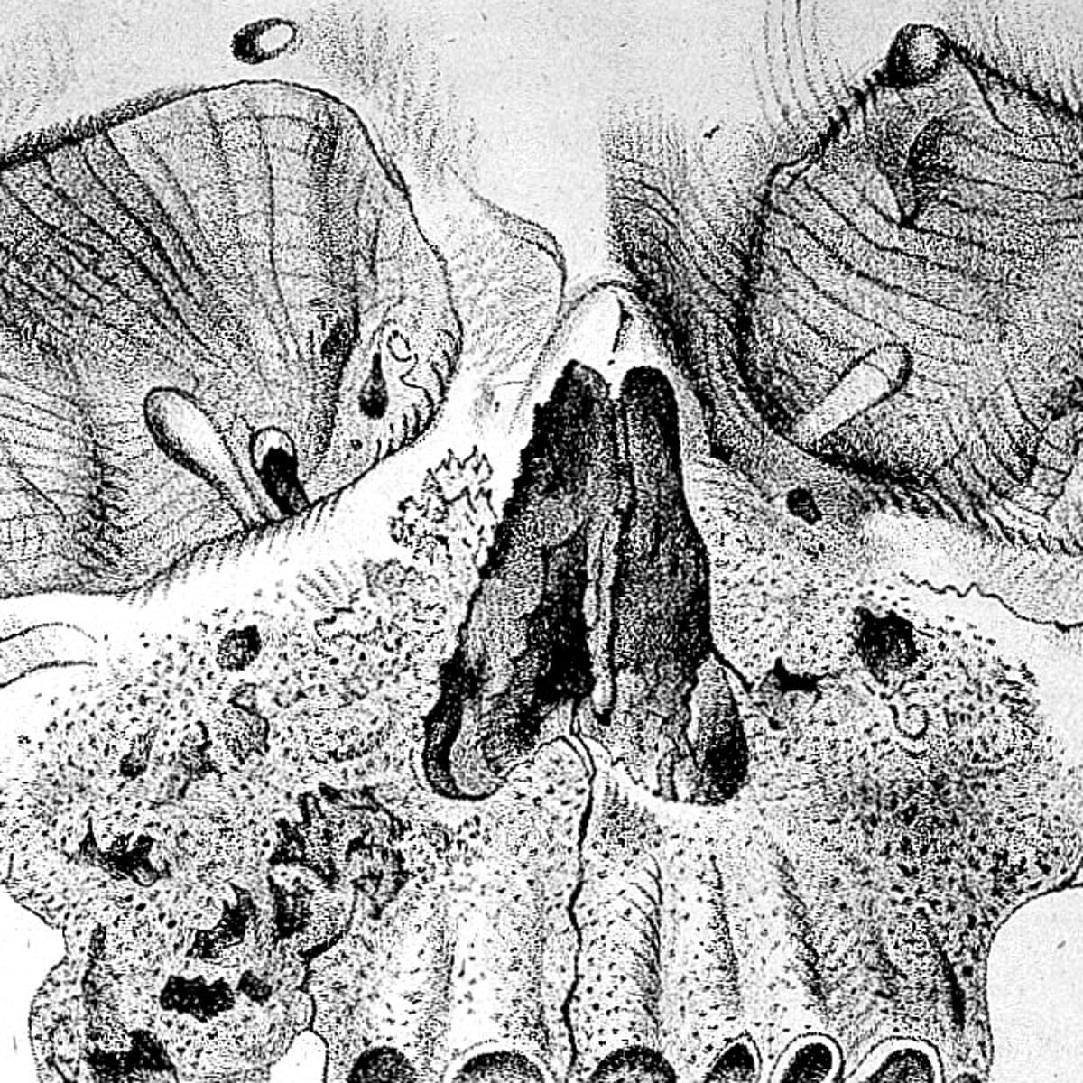 Poison that affects phosphorous