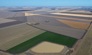 Agricultural crops on the Darling Downs of southern Queensland.