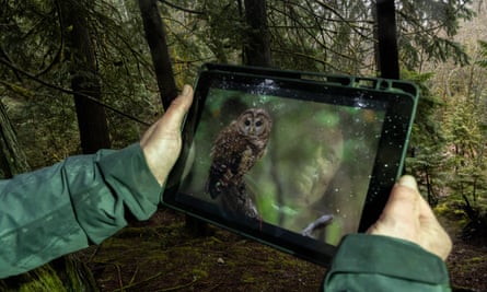 an owl shown on an ipad