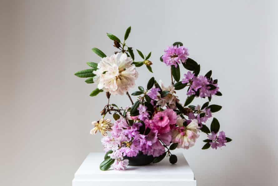 Rhododendrons: Riddle, Obsession, Threat at Inverleith House, Royal Botanic Garden Edinburgh.