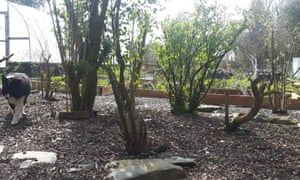 Estoy aprovechando el poder de jardinería para ayudar a las personas autistas 2 Quiet places for contemplation and the presence of animals can both help those with autism build confidence.