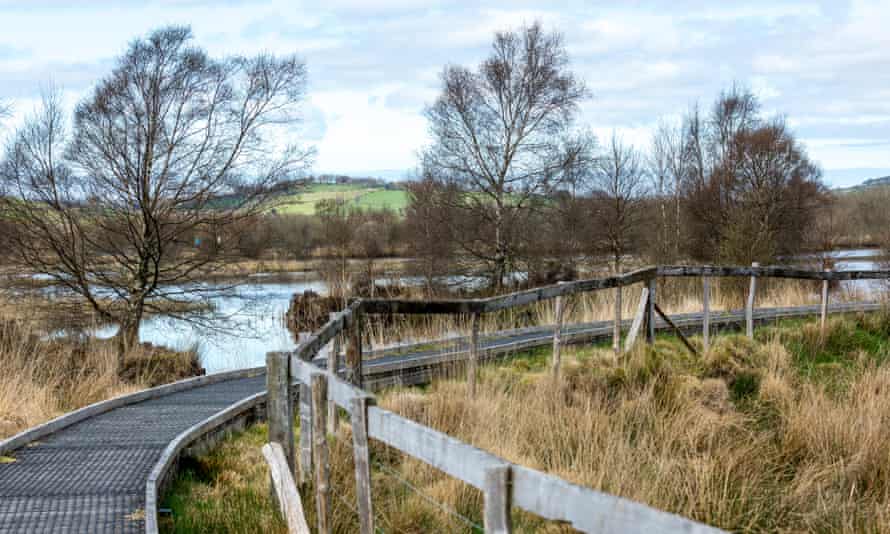 Cors Caron nature reserve in spring.