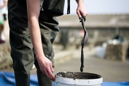 A mix of fireclay powder and water is prepared to the correct consistency, ready to support delivery of seeds via either manual or machine planting.