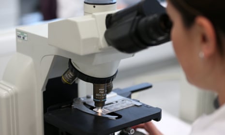 Fungal disease spiked during Covid pandemic and pathogens spreading due to climate crisis, WHO says Fungal disease spiked during Covid pandemic and pathogens spreading due to climate crisis, WHO says