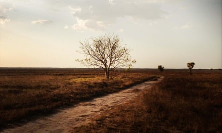 The dry lands of Kakadu national park just before the wet season begins.