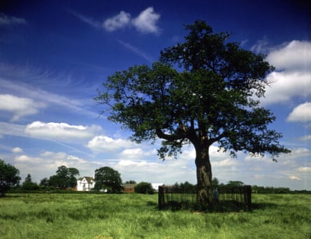 The royal oak, with Boscobel House in the distance.