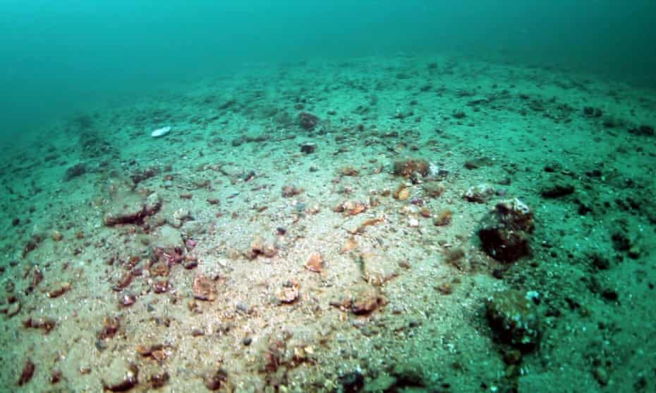 an area of seabed damaged by trawling
