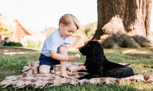 Prince George appears to feed ice cream to the family dog, Lupo, at their Norfolk home.