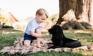 Prince George with the family dog Lupo, photographed at their Norfolk home.