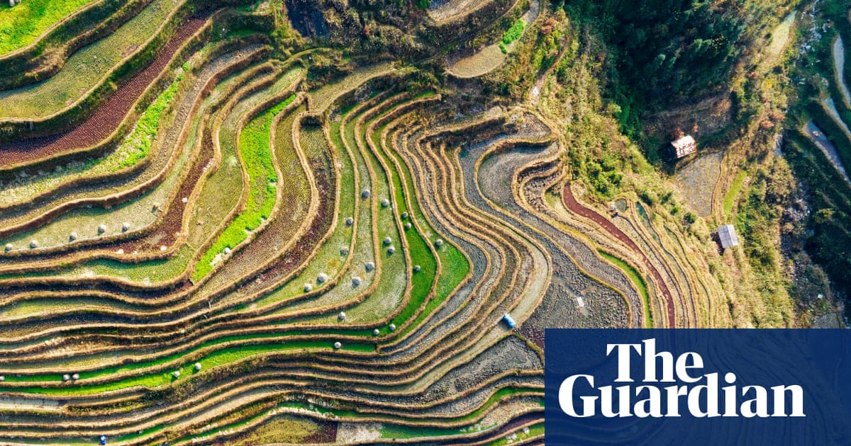 Dashed dreams and land grabs: The rise of rural protests in China