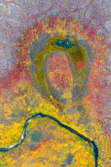 Alexey Kharitonov’s contribution to Wildlife Photographer of the Year.