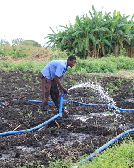 A farmer tries to grow crops with the help of a United Nations supported irrigation scheme in the Neno district of Malawi.