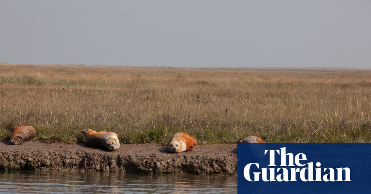 Guardians of Nature: Our Habitats Can't Wait for Action