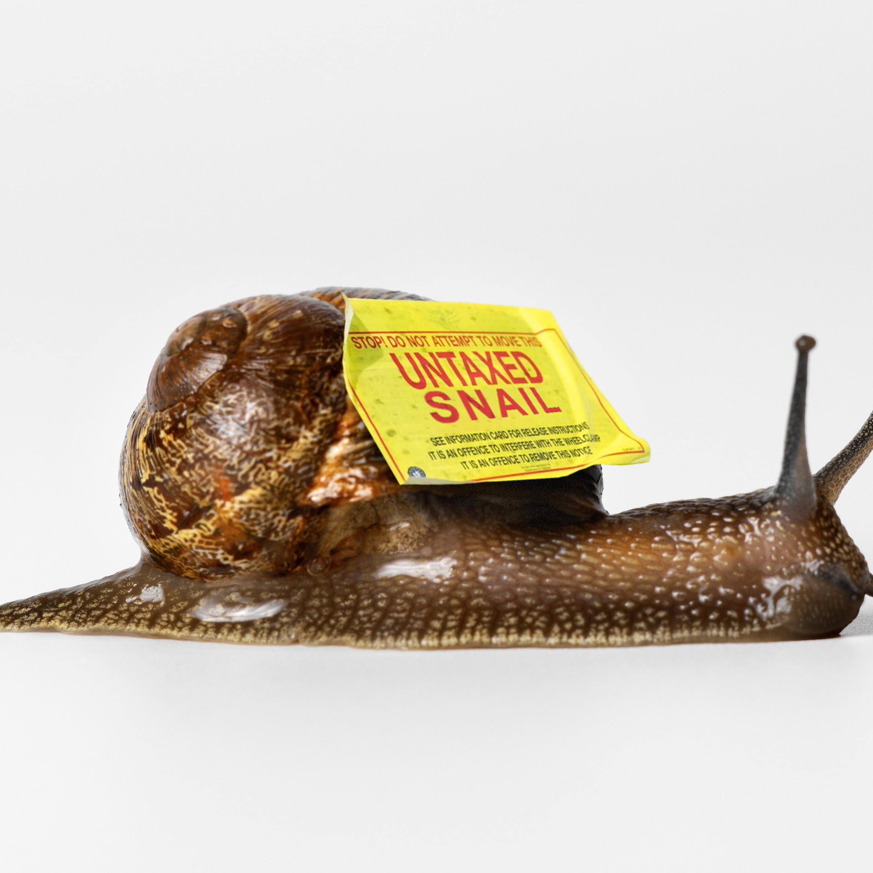 The snail farm don: is this the most brazen tax avoidance scheme of all time? The snail farm don: is this the most brazen tax avoidance scheme of all time?