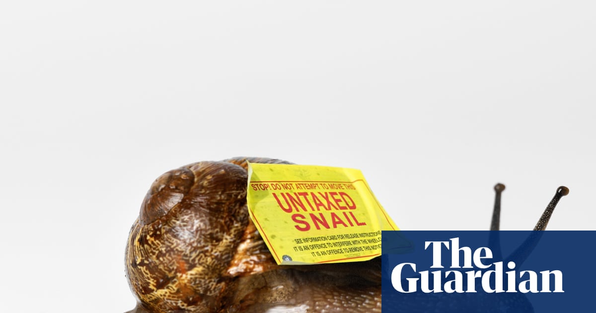 The snail farm don: is this the most brazen tax avoidance scheme of all time?
