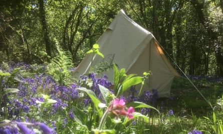 Cilrath Wood campsite