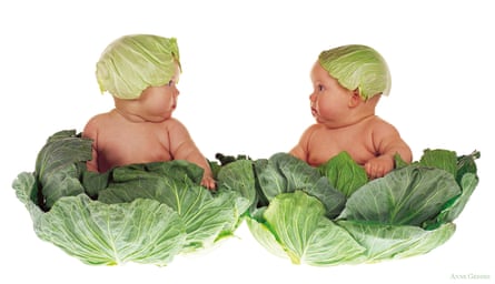 Cabbage Kids