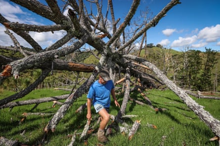 Steve Dill looks tours the 510 hectare farm his family have lived and worked on for five generations which has been left ruined by extreme weather.