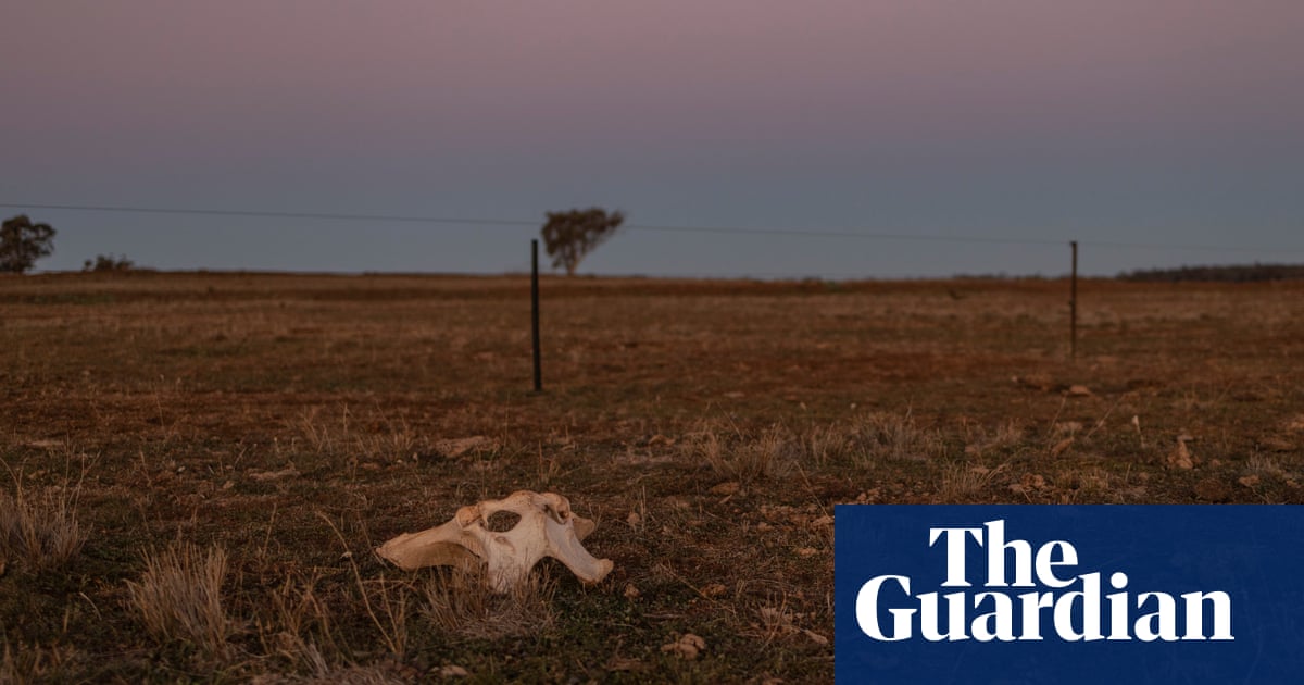 Australians increasingly fear climate change-related drought and extinctions - The Guardian