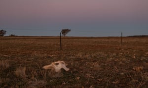 Drought-affected land