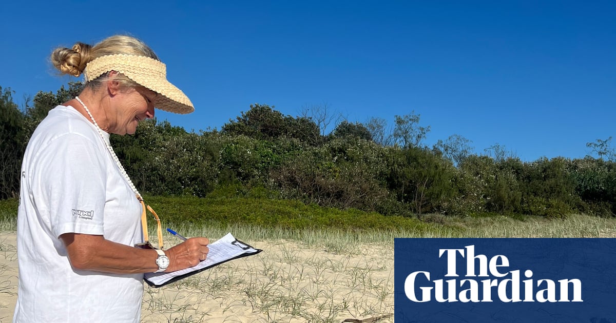 NSW Turtle Monitoring: Help Save Threatened Species on Beaches | Citizen Science NSW Turtle Monitoring: Help Save Threatened Species on Beaches | Citizen Science