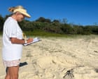 Call for citizen scientists to monitor threatened turtle species on NSW beaches