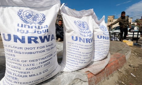 MPs and peers call for UK funding of UN relief agency in Palestine to be restored