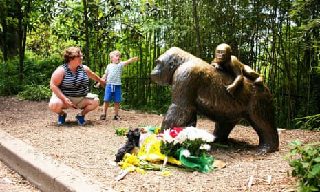 Cincinnati zoo director: shooting gorilla to protect child was 'right decision' | Ohio | The Guardian