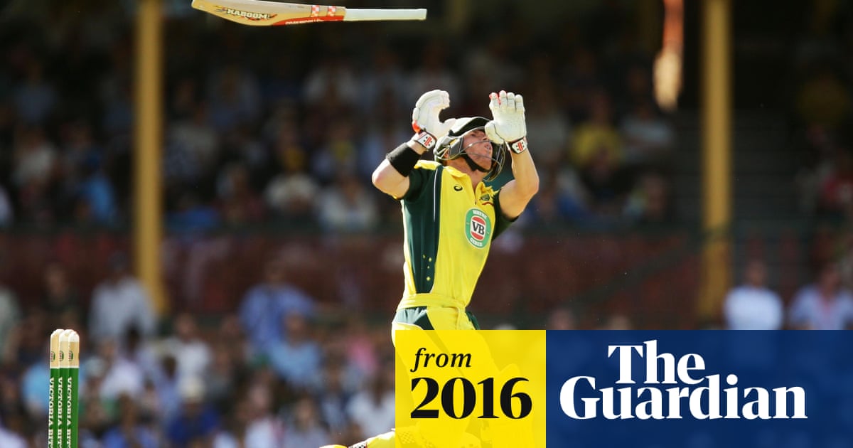 Josh Hazlewood Echoes Ricky Ponting S Calls For Bat Size Restrictions Sport The Guardian