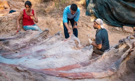 Researchers excavate the fossilised ribs of a sauropod at the Monte Agudo paleontological site in Pombal, Portugal.