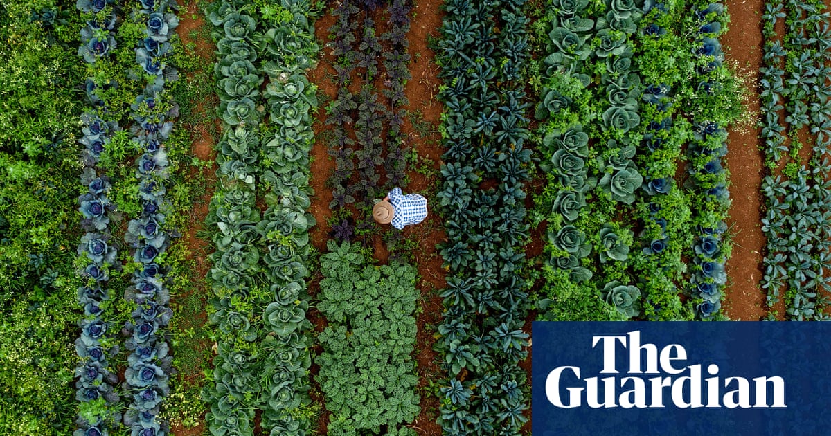 Move to sustainable food systems could bring $10tn benefits a year, study finds