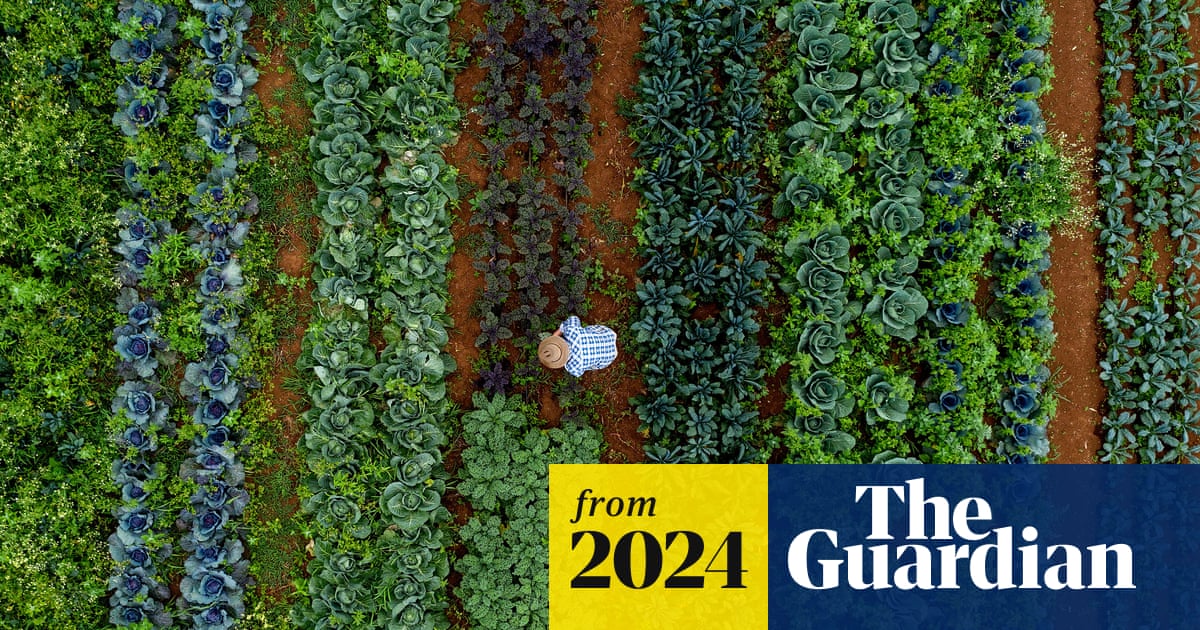 Move to sustainable food systems could bring $10tn benefits a year, study finds