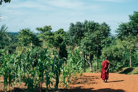 Buddharakkhita in fields near the centre