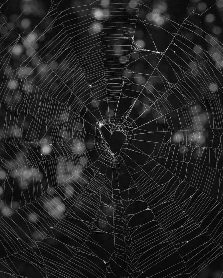 Untitled #8, from the series Languor by Donavon Smallwood