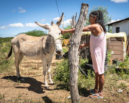 A woman in an arid landscape patting her donkey