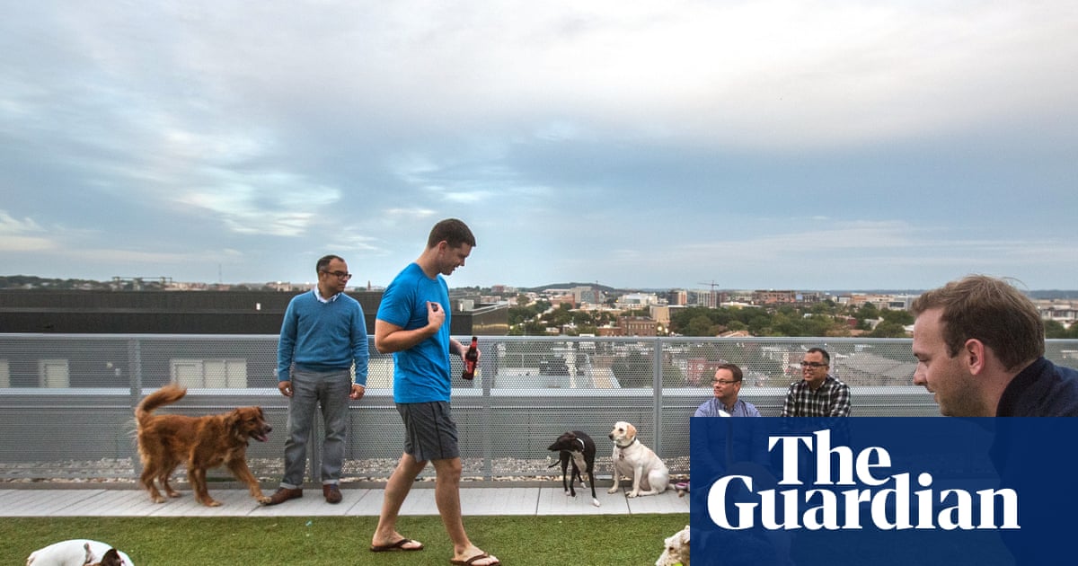 New Washington DC law bans landlords from imposing dog breed restrictions