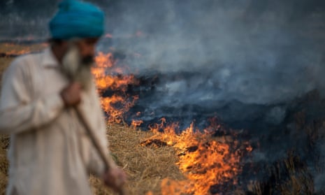 A farmer feeds a controlled fire of spent rice stalks as he prepares a field for a new crop in the Indian state of Punjab